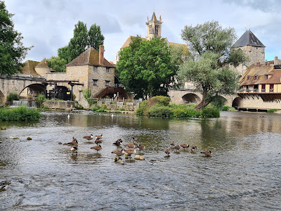 Pré de Pins à Moret-Loing-et-Orvanne