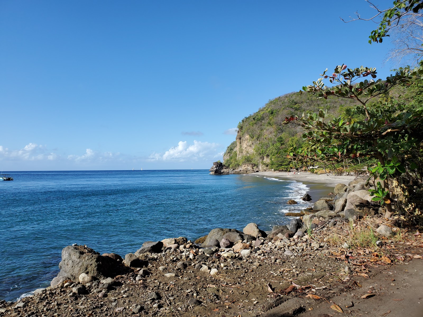 Foto de Anse Mamin beach área de resort de praia