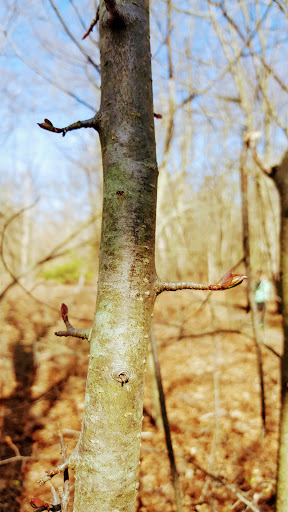 State Park «Bethpage State Park», reviews and photos, 99 Quaker Meeting House Rd, Farmingdale, NY 11735, USA