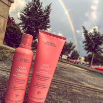 Dolce Lusso Salon and Spa - Photo 4 - Car repair in Charlotte, NC, Rock Hill