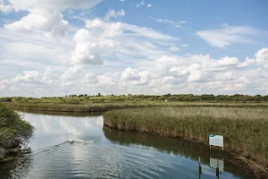 Titchfield Haven National Nature Reserve image