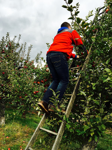 Winery «Furnace Brook Winery», reviews and photos, 508 Canaan Rd, Richmond, MA 01254, USA