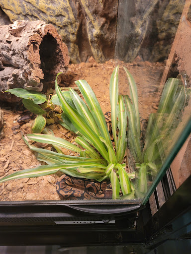 Pet Store «Fish & More Pet Store», reviews and photos, 310 E Main St #8, Sylva, NC 28779, USA