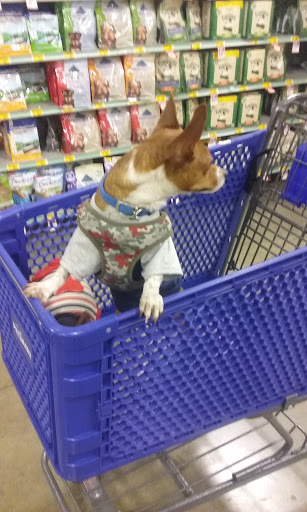 Pet Supply Store «PetSmart», reviews and photos, 11945 Central Ave, Chino, CA 91710, USA