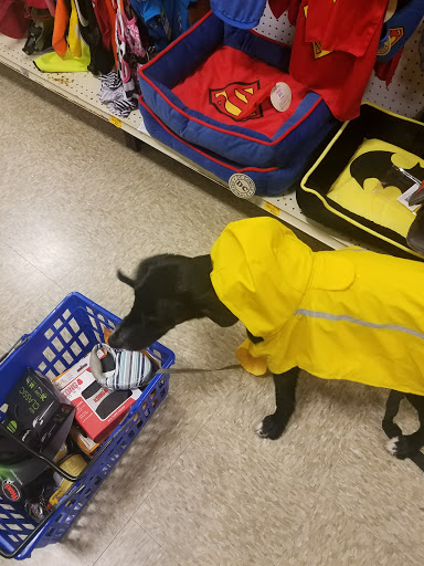 Pet Supply Store «PetSmart», reviews and photos, 637 Woodbury Glassboro Rd, Sewell, NJ 08080, USA