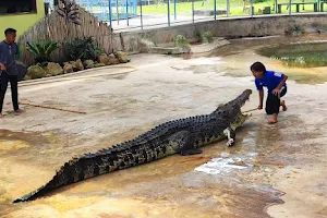 Tuaran Crocodile Farm image