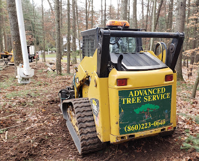 Advanced Tree Service llc