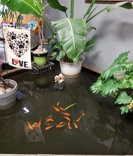 Pet Supply Store «Scally Waggs Doggy Bakery & Pet Supplies», reviews and photos, 44 W Front St, Monroe, MI 48161, USA