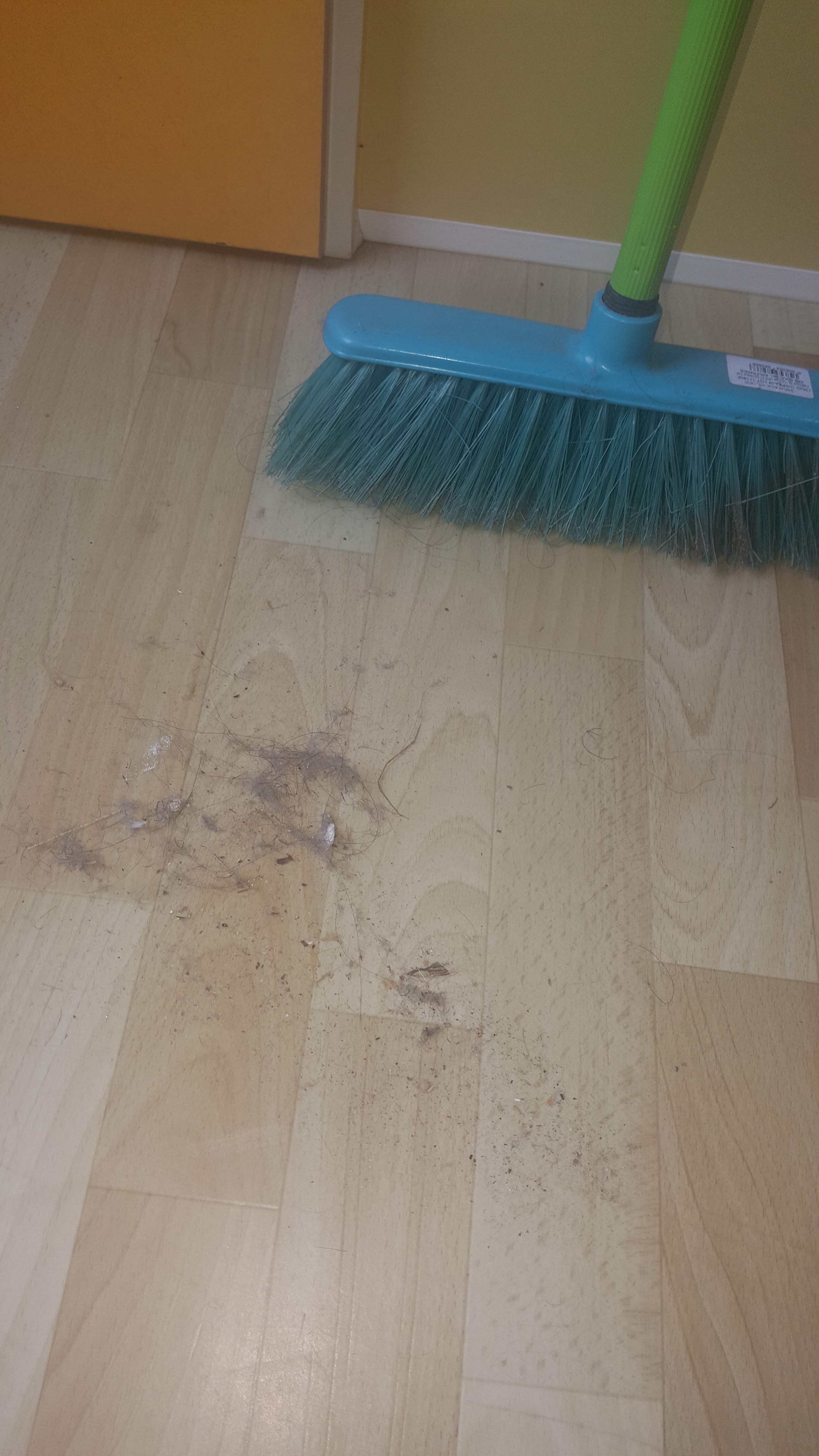 Photo n° 1 de l'avis de Francine.M fait le 22/08/2019 à 14:59