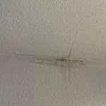 Photo n°1 de l'avis de Christian. fait le 13/09/2021 à 05:49 sur le  Mercure Hotel Duesseldorf Airport à Ratingen