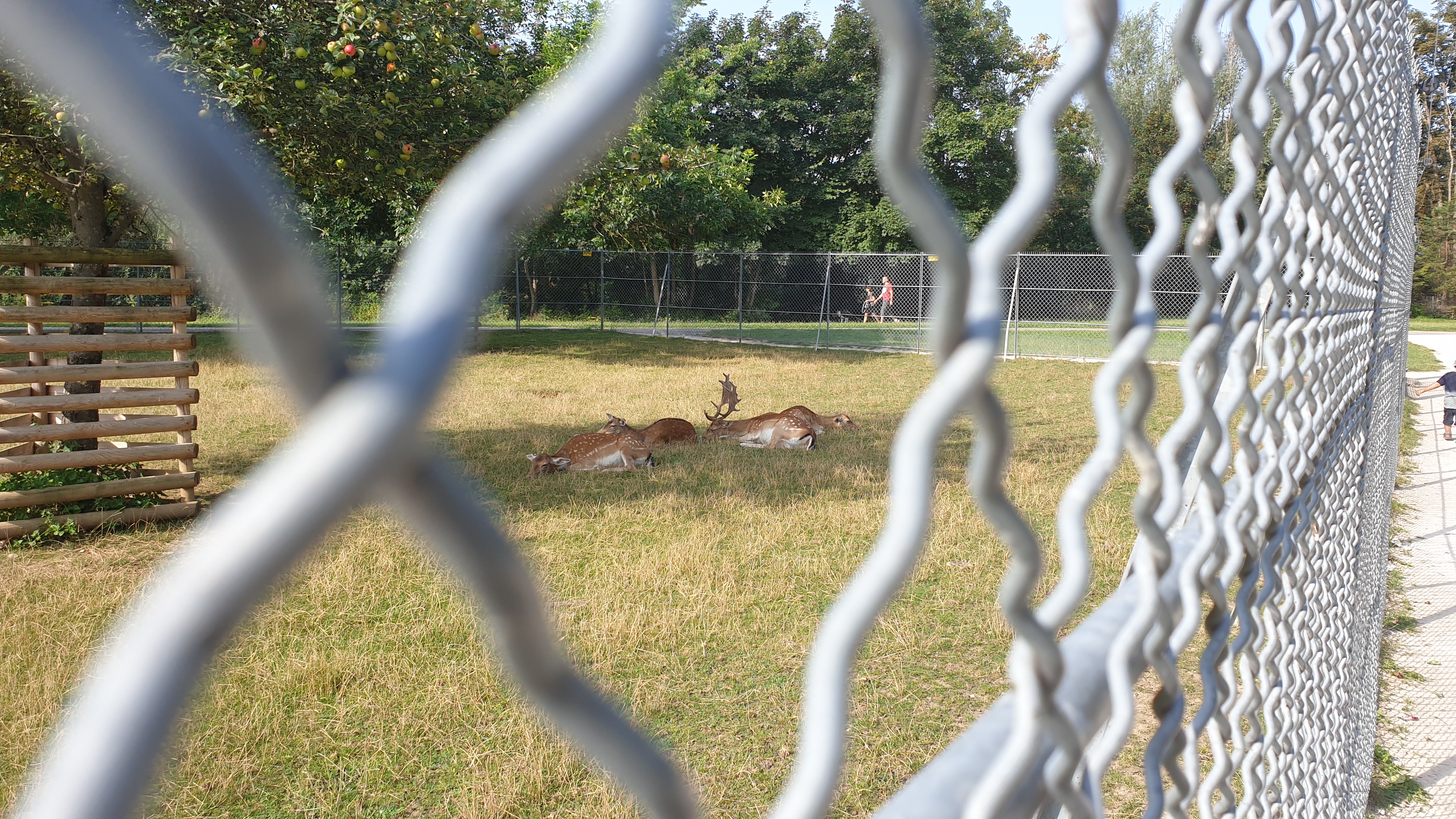 Photo n° 7 de l'avis de BMB.O fait le 14/09/2017 à 07:10