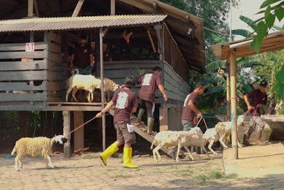 BENS FARM (Peternakan Domba, Jasa Aqiqah, Supplier domba, Hewan Qurban)