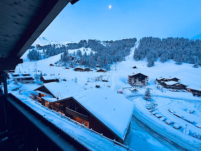 Ski Beat Chalet Alisier à La Plagne-Tarentaise