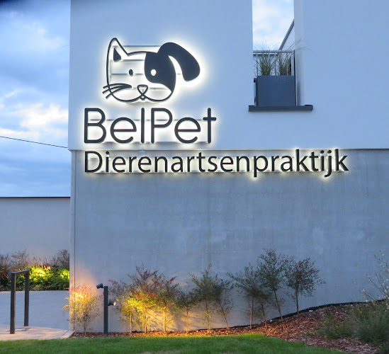 Beoordelingen van Dierenartsenpraktijk BelPet in Turnhout - Dierenarts