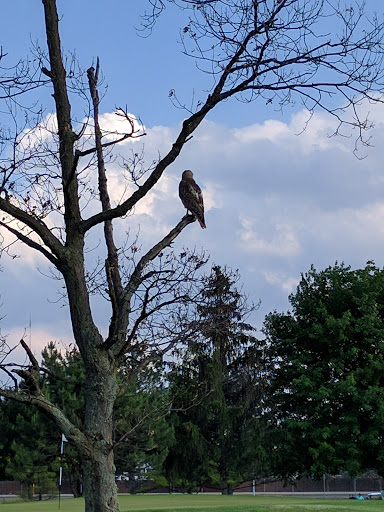 Public Golf Course «Rackham Golf Course», reviews and photos, 10100 W 10 Mile Rd, Huntington Woods, MI 48070, USA