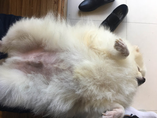 Top 20 cửa hàng kim yến Quận Ba Đình Hà Nội 2022