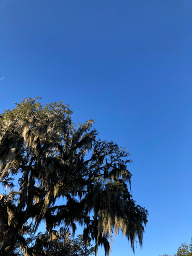 Park «Southside Park», reviews and photos, Southside Park Loop, Beaufort, SC 29902, USA