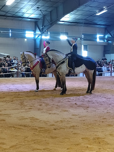 Albi Expo - Organisateur d'événements