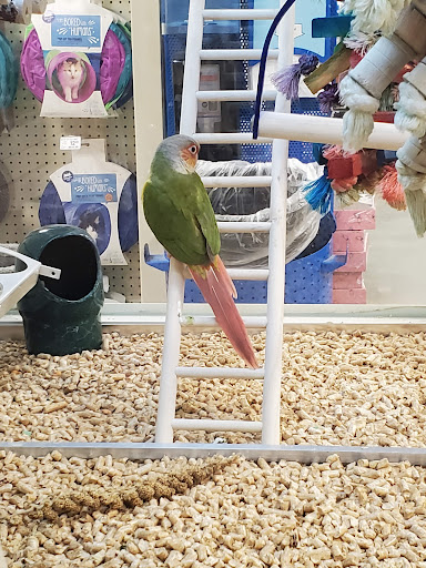 Pet Supply Store «PetSmart», reviews and photos, 9905 E Independence Blvd, Matthews, NC 28105, USA