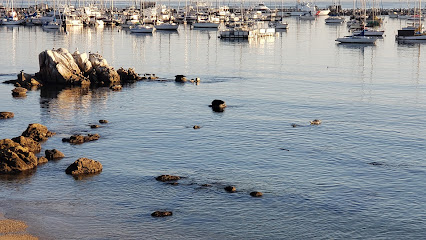 The Original Monterey Walking Tours - guided tours of historic Monterey and Cannery Row