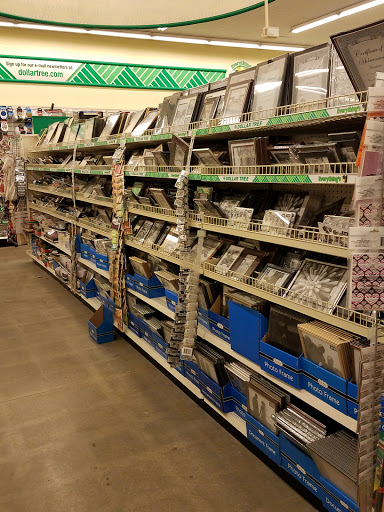 Dollar Store «Dollar Tree», reviews and photos, 447 W Ridge Pike, Limerick, PA 19468, USA
