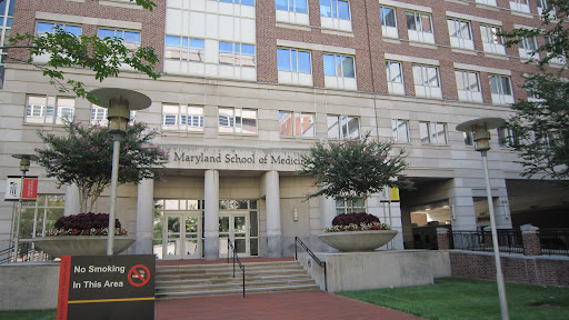 Media and information sciences faculty Maryland