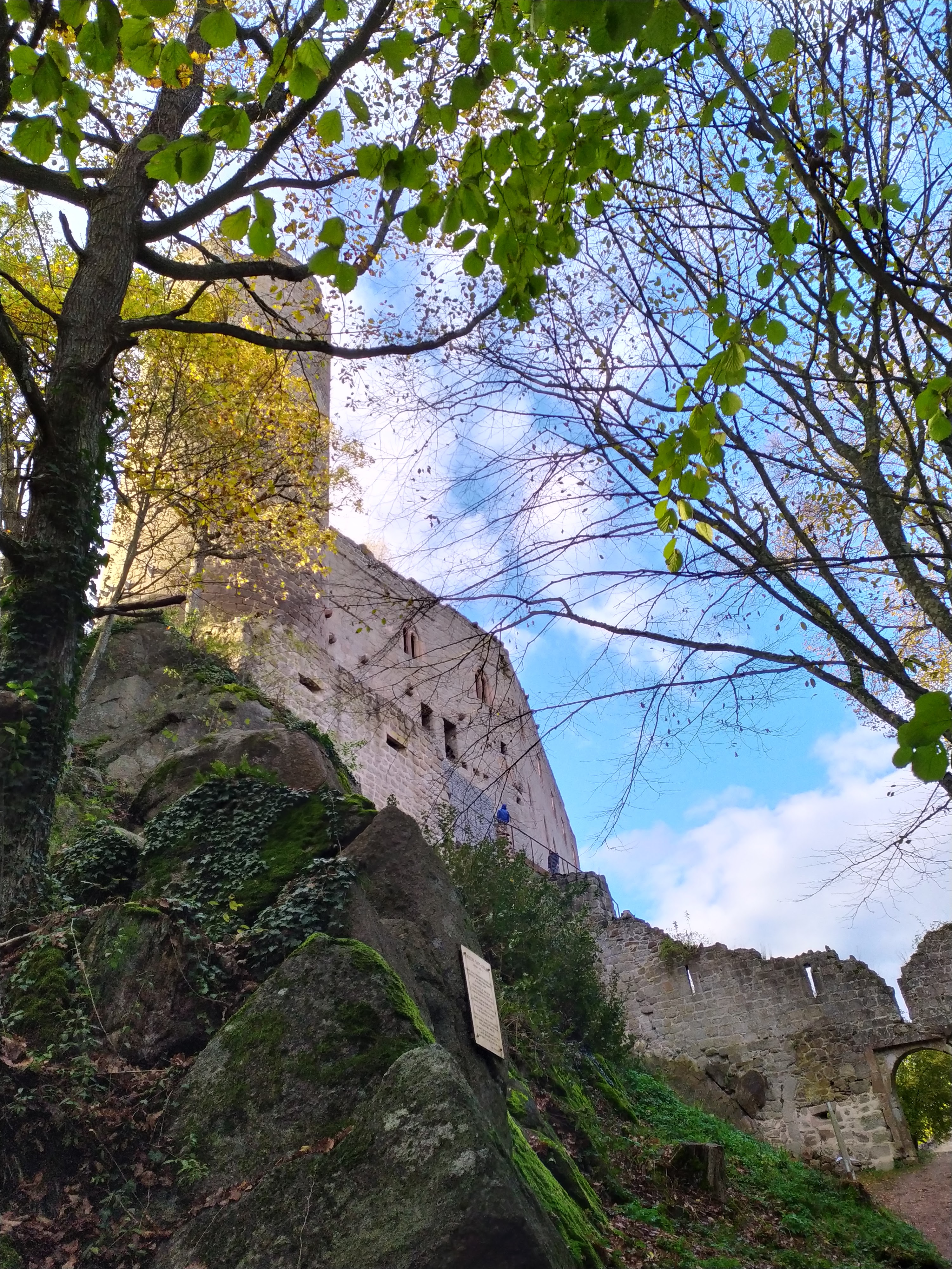 Photo n° 1 de l'avis de Luc.e fait le 09/11/2019 à 16:40