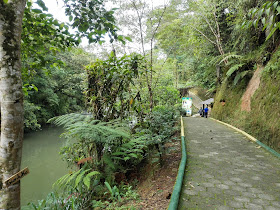 Paseo Turístico del Río Puyo