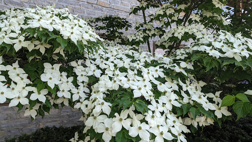 Golf Club «Muirfield Village Golf Club», reviews and photos, 5750 Memorial Dr, Dublin, OH 43017, USA