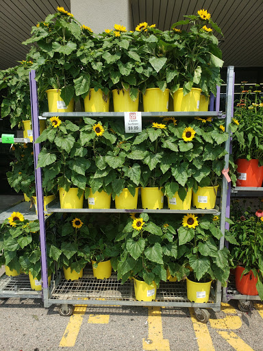 Discount Store «Ocean State Job Lot», reviews and photos, 230 E Main St, Marlborough, MA 01752, USA