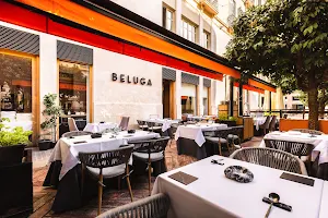 Beluga - Mediterranean Restaurant image