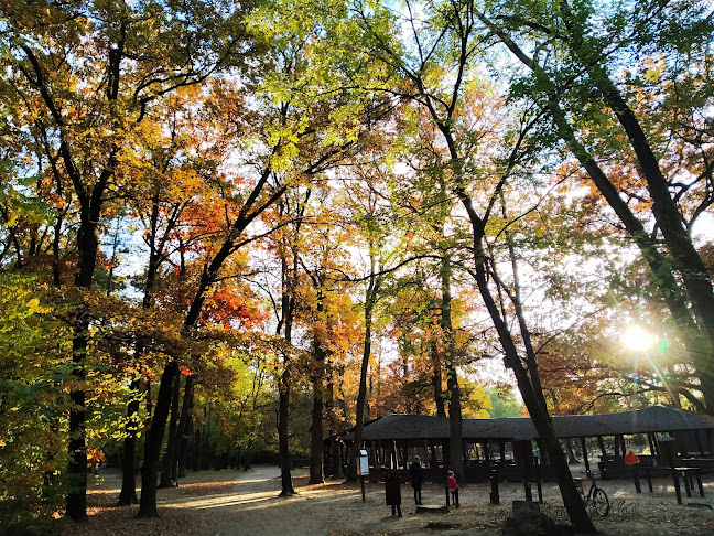 Erdei tornapálya - Parkoló