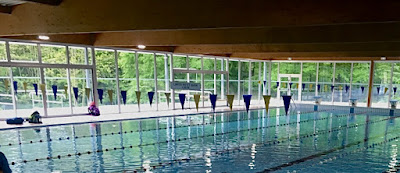 Natation Drachenbronn-Birlenbach à Drachenbronn-Birlenbach