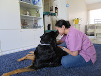 Hopeful Healing - Photo 3 - Car repair in , Coral Springs