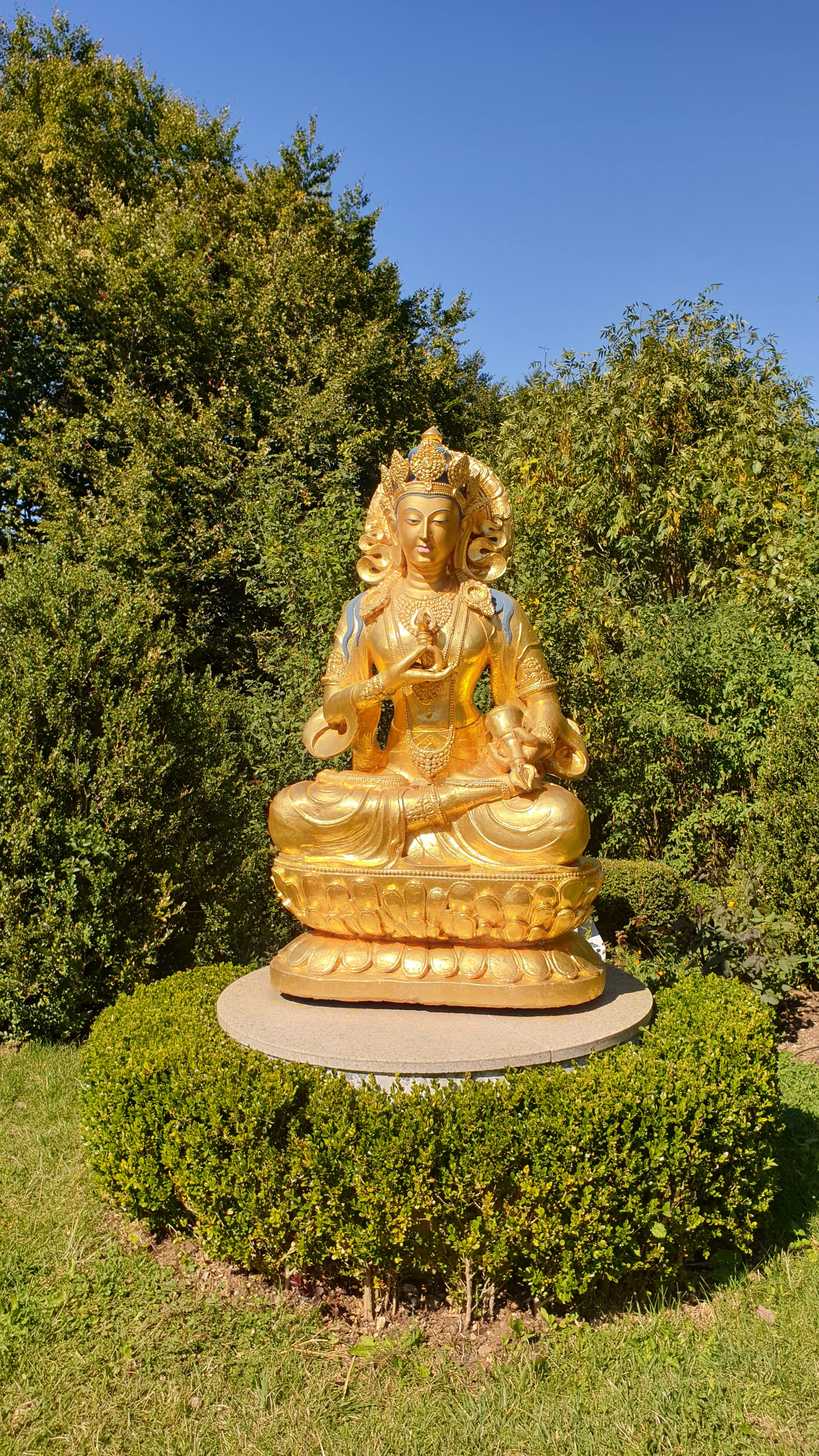 Photo n° 11 de l'avis de Mag. fait le 05/09/2020 à 17:01