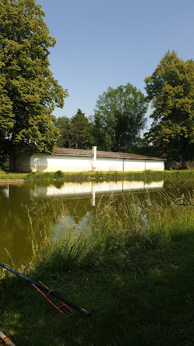 attractions Étang de pêche Hochstatt Hochstatt