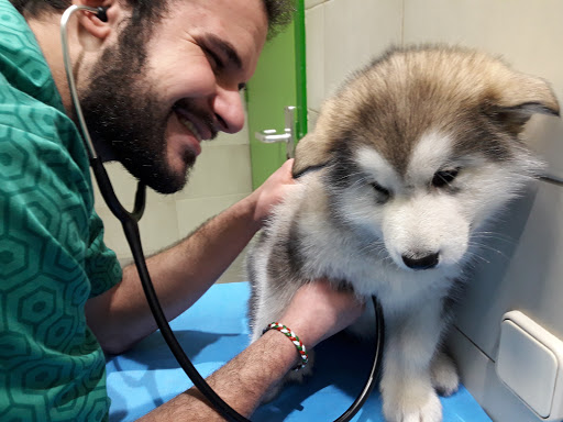 Clínica Veterinaria Capellades en Capellades