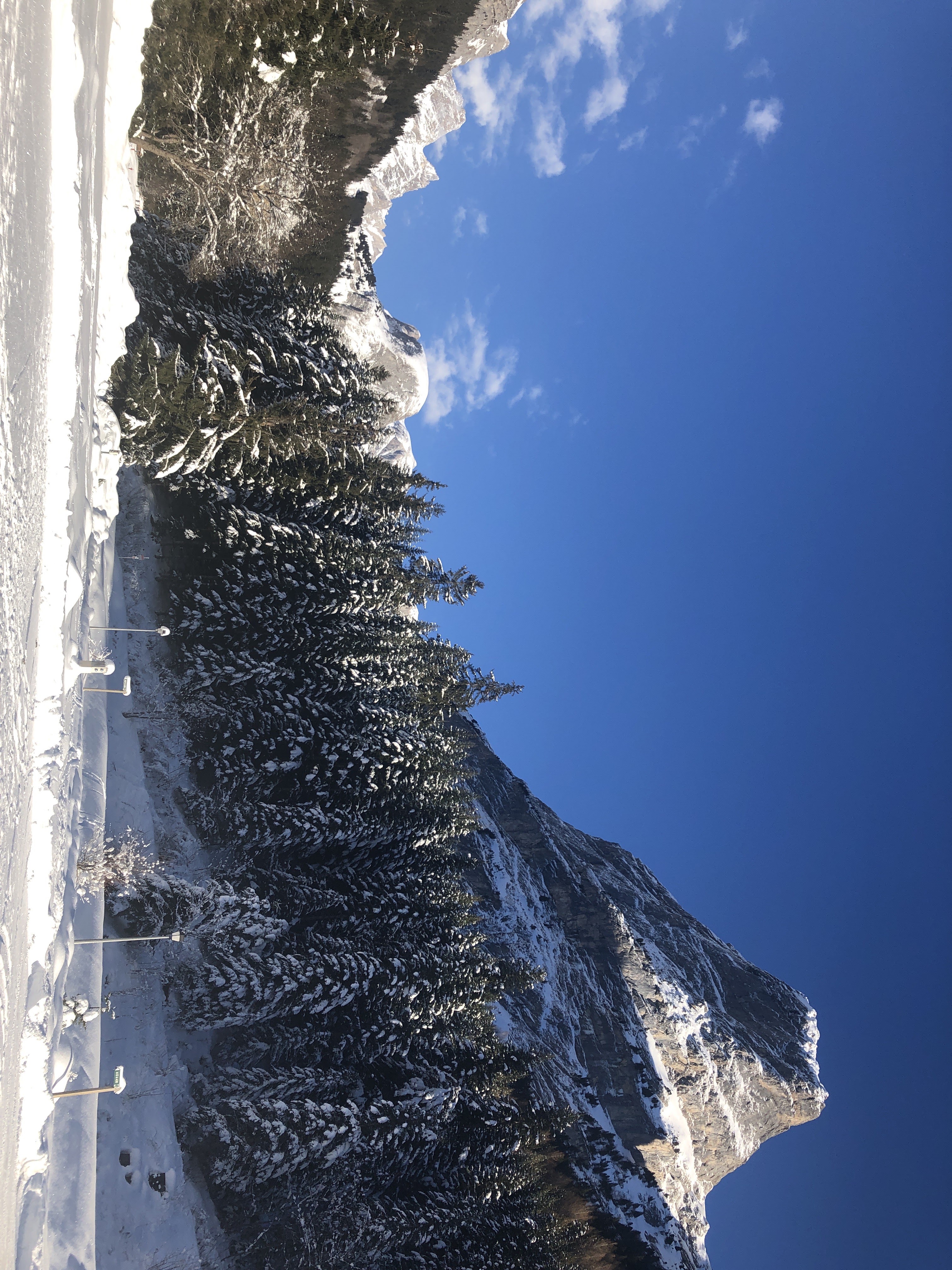 Photo n° 6 de l'avis de Out. fait le 30/01/2019 à 08:13