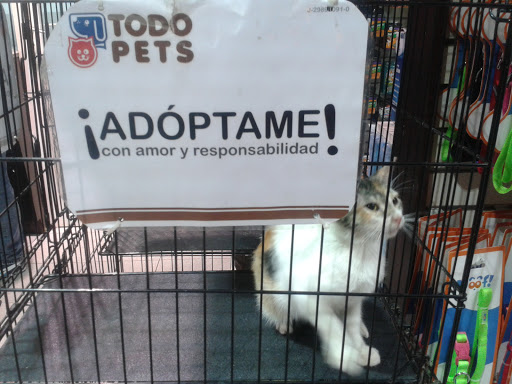 Adopcion hamster Caracas