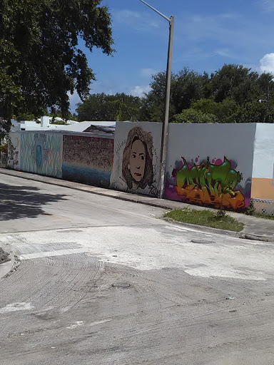 Hardware Store «Little Haiti Hardware & Supplies», reviews and photos, 4715 NW 2nd Ave, Miami, FL 33127, USA