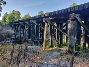Spring Hammock Preserve - photo 50