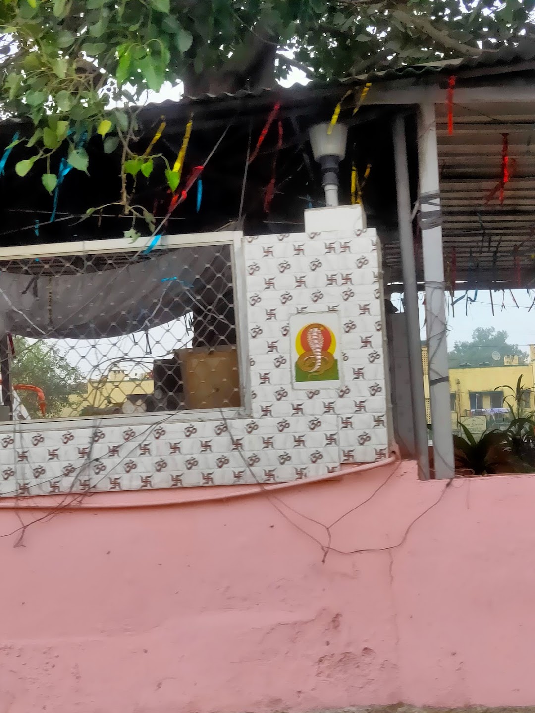 Nag Dev Mandir
