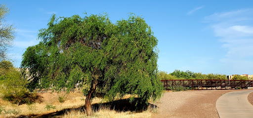 Park «Bicentennial Park», reviews and photos, 16705 N Nash St, Surprise, AZ 85378, USA