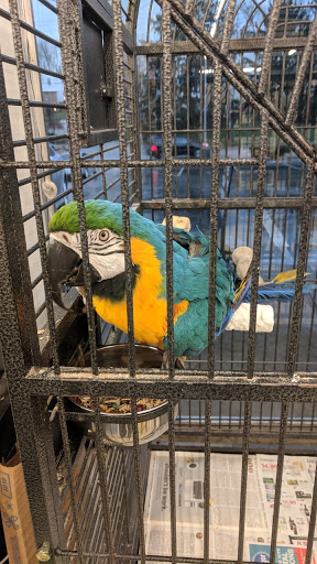 Pet Store «Delhi Pet Center», reviews and photos, 5665 Rapid Run Rd, Cincinnati, OH 45238, USA