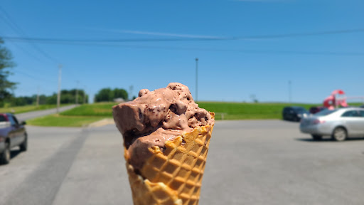 Grocery Store «Maplehofe Dairy Farm Store», reviews and photos, 799 Robert Fulton Hwy, Quarryville, PA 17566, USA