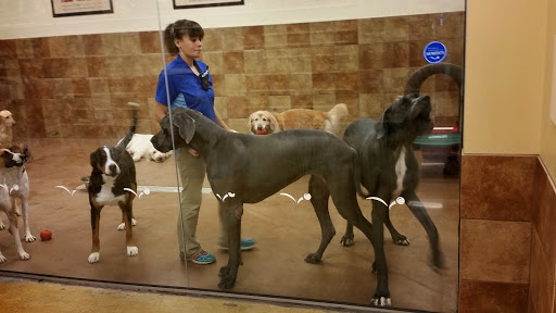 Pet Supply Store «PetSmart», reviews and photos, 700 N Milwaukee Ave, Vernon Hills, IL 60061, USA