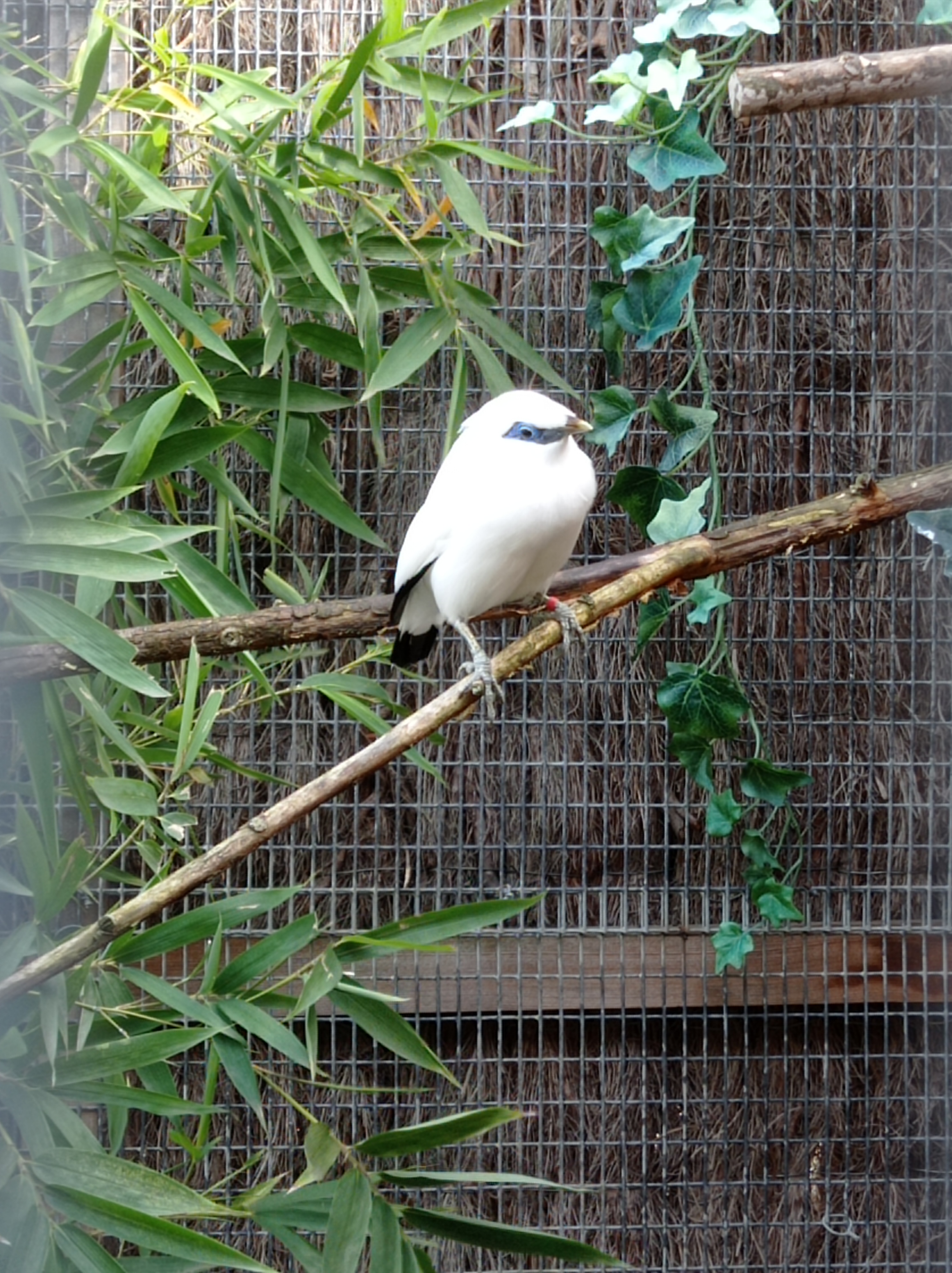 Photo n° 7 de l'avis de Artemis. fait le 16/04/2023 à 12:48