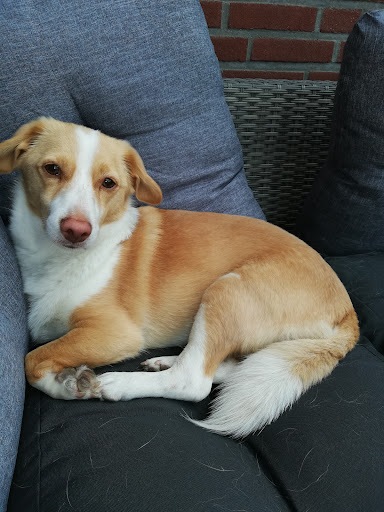 Britta Windels unter Brüggen, Nordrhein-Westfalen
