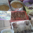 15 Jasa Catering Murah di Karangrejo Jember