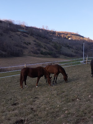 Les Ecuries CPS à Murinais